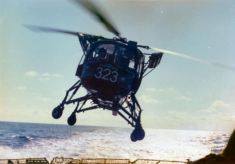 77scan0002_jpg.jpg - Wasp Airbourne-photo©David Marchant